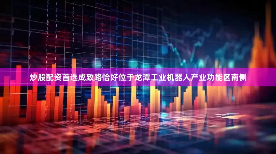 炒股配资首选成致路恰好位于龙潭工业机器人产业功能区南侧