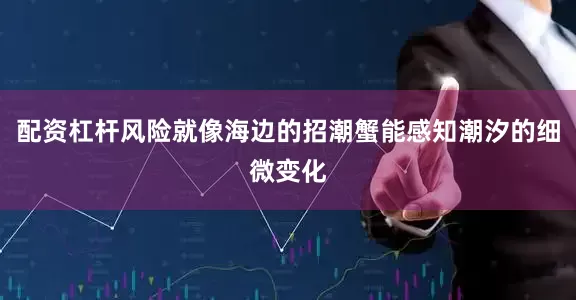 配资杠杆风险就像海边的招潮蟹能感知潮汐的细微变化