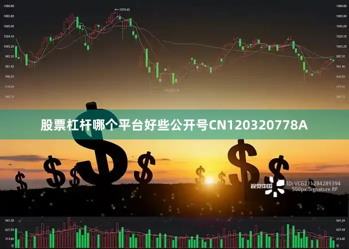 股票杠杆哪个平台好些公开号CN120320778A