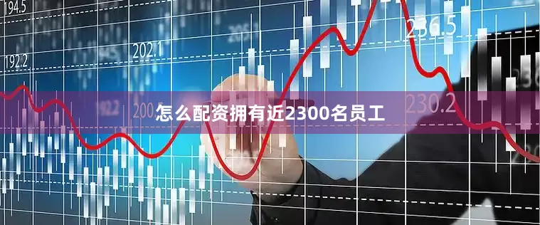 怎么配资拥有近2300名员工