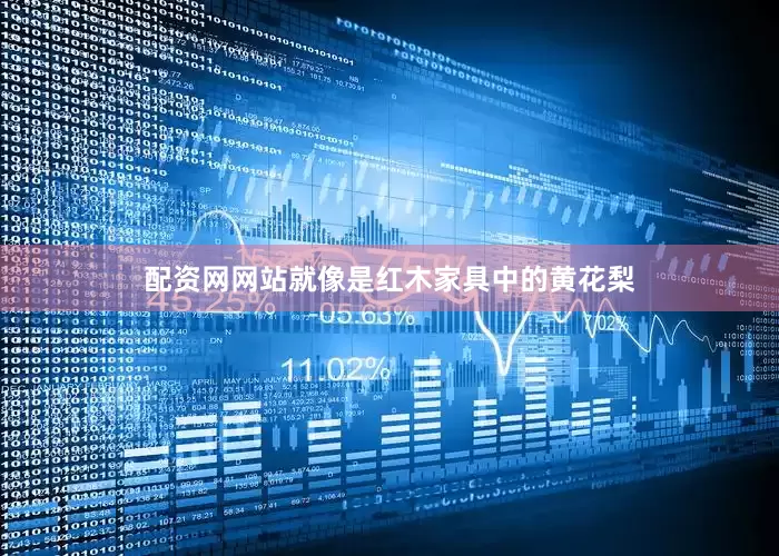 配资网网站就像是红木家具中的黄花梨